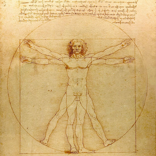 Da Vinci Vitruve Luc Viatour - Human Body Visual Dimensions Da Vinci Vitruve Luc Viatour - Human Body Visual Dimensions